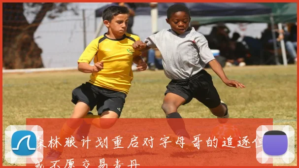 森林狼计划重启对字母哥的追逐但或不愿交易麦丹